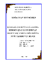 Khóa luận tốt nghiệp: Đánh giá ảnh hưởng kháng sinh đến vi sinh vật trên vi môn Kháng sinh | Đại học Yersin Đà Lạt