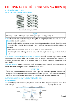 Bài tập chương I cơ chế di truyền và biến dị sinh học 12 (có đáp án và lời giải chi tiết)