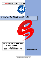 Lập kế hoạch kinh doanh thương mại điện tử cho 1 sản phẩm tùy chọn I Môn Thương mại điện tử Kế hoạch giả định