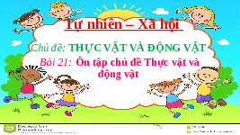 Giáo án điện tử Tự nhiên và xã hội 1 bài 21 Chân trời sáng tạo : Ôn tập chủ đề Thực vật và Động vật