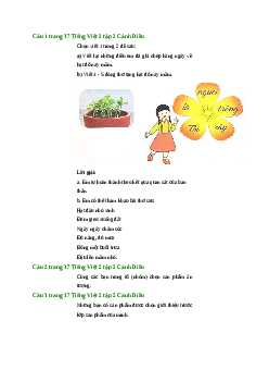 Giải SGK môn Tiếng việt 2 - Bài 22: Hạt đỗ nảy mầm(3) | Cánh Diều