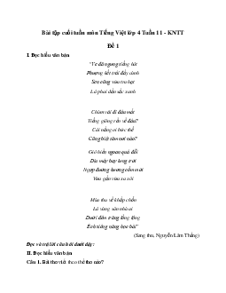Giải Bài tập cuối tuần lớp 4 môn Tiếng Việt Kết nối tri thức - Tuần 11