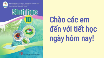 Bài 8: Ôn tập| Bài giảng PowerPoint môn Sinh học 10 | Cánh diều