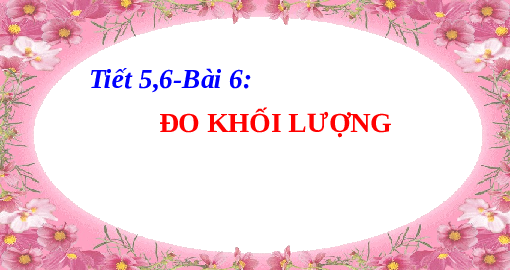 Giáo án điện tử Khoa học tự nhiên 6 bài 6 Kết nối tri thức : Đo khối lượng