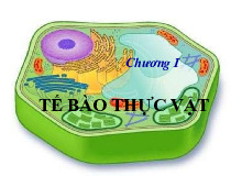 CHƯƠNG 1 - Khám Phá Cấu Trúc Tế Bào Thực Vật