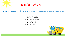 Giáo án điện tử Công Nghệ  4 KNTT -  Kết Nối Tri Thức:  Bài 1. Lợi ích của hoa, cây cảnh trong đời sôngTIẾT 2.