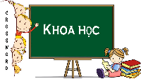 Giáo án điện tử Khoa học 4 Chân trời sáng tạo: Nguồn sáng và sự truyền ánh sáng