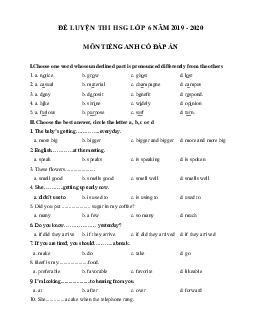 Đề ôn thi học sinh giỏi lớp 6 môn Tiếng Anh năm học 2019 - 2020 số 7