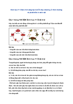 Sinh học 11 Chân trời sáng tạo bài Ôn tập chương 3: Sinh trưởng và phát triển ở sinh vật