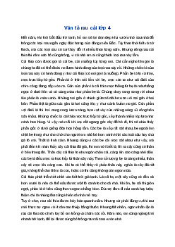 Văn tả rau cải | Tập làm văn 4