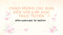 Giáo án điện tử Khoa học tự nhiên 6 bài 2 Chân trời sáng tạo : Các lĩnh vực chủ yếu của khoa học tự nhiên