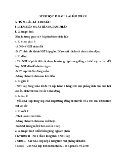 Tóm tắt lý thuyết Sinh học 10 bài 19: Giảm phân