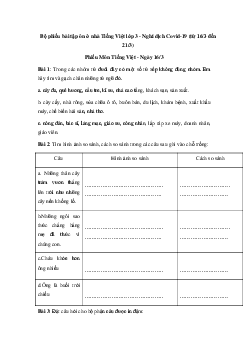 Bộ phiếu bài tập ôn ở nhà Tiếng Việt lớp 3 -  (từ 16/3 đến 21/3)