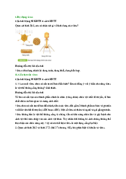 Giải Khoa học tự nhiên lớp 6 - Bài 29: Viru