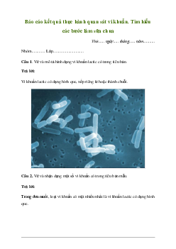 Giải KHTN 6 Bài 26: Thực hành quan sát vi khuẩn. Tìm hiểu các bước làm sữa chua - Chân trời sáng tạo
