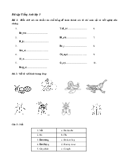 Bài tập ôn hè Tiếng Anh lớp 3