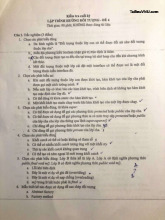 Đề thi Lập trình Hướng đối tượng - Đề số 4 - Kỳ 1 - năm học 2022-2023 - UET. Môn Lập trình hướng đối tượng (UET) | Trường Đại học Công nghệ, Đại học Quốc gia Hà Nội.