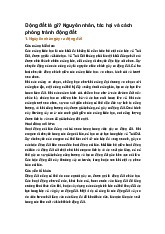 Động đất là gì? Nguyên nhân, tác hại và cách phòng tránh động đất