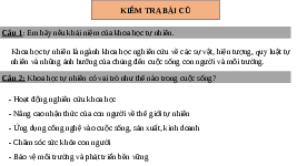 Giáo án điện tử Khoa học tự nhiên 6 bài 2 Chân trời sáng tạo : Các lĩnh vực chủ yếu của khoa học tự nhiên