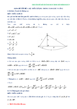 Các chuyên đề bồi dưỡng học sinh giỏi Hình học 9