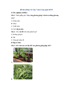 Đề thi học kì 1 môn Công Nghệ lớp 7 | Đề 4 | Kết nối tri thức