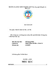 Lí luận sản xuất hàng hóa và thực tiễn phát triển kinh tế hàng hóa ở Việt Nam hiện nay | Bài tập lớn môn Quản lý học