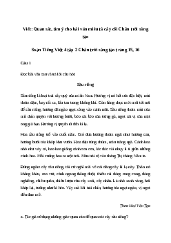 Soạn bài Viết: Quan sát, tìm ý cho bài văn miêu tả cây cối - Tiếng Việt 4 Chân trời sáng tạo