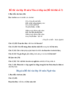 Đề thi vào lớp 10 môn Văn có đáp án (Đề thi thử số 3)