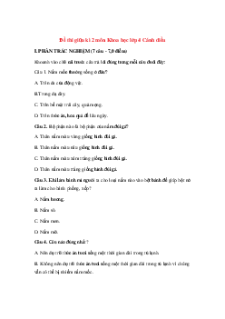 Đề thi giữa kì 2 môn Khoa học lớp 4 Cánh diều