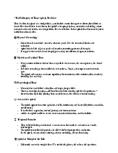 Philosophy of Time: Exploring the Spiral Concept of Time | Đại học Lạc Hồng