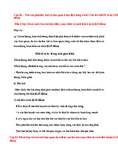 Ngân hàng câu hỏi ôn tập có đáp án học phần Dược liệu | Trường Đại học Phenikaa