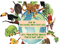 Giáo án điện tử Khoa học tự nhiên 6 bài 38 Kết nối tri thức : Đa dạng sinh học