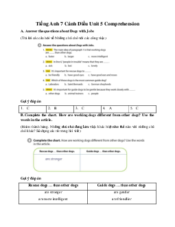 Tiếng Anh 7 Cánh Diều Unit 5 Comprehension