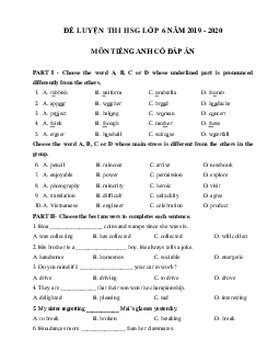 Đề luyện thi học sinh giỏi lớp 6 môn Tiếng Anh năm học 2019 - 2020 số 3