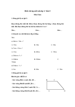 Phiếu bài tập cuối tuần lớp 3 Chân trời - Tuần 9