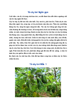 Tả cây bơ Hay, Ngắn gọn | Tập làm văn lớp 4