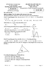 Đề giữa học kỳ 1 Toán 12 năm 2024 – 2025 trường THPT Trường Chinh – TP HCM