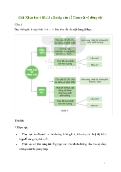 Giải Khoa học lớp 4 Bài 18: Ôn tập chủ đề Thực vật và động vật | Kết nối tri thức