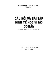 Sách Bài Tập Vi Mô - Hướng Dẫn và Lời Giải Chi Tiết
