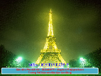 Giáo án điện tử Khoa học tự nhiên 7 bài 29 Chân trời sáng tạo : Trao đổi nước và các chất dinh dưỡng ở thực vật