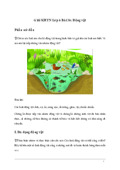 Giải KHTN Lớp 6 Bài 36: Động vật | Kết nối tri thức