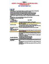 BÀI 7: HÔ HẤP VÀ TRAO ĐỔI KHÍ Ở ĐỘNG VẬT - SINH HỌC 11 - CÁNH DIỀU