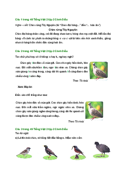 Giải SGK môn Tiếng việt 2 - Bài 24: Nghe - viết: Chim rừng Tây Nguyên(4) | Cánh Diều