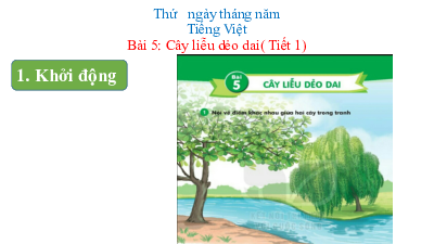 Chủ đề 6. Bài 5: Cây liêu diễu dai | Bài giảng PowerPoint học kì 2 môn Tiếng Việt 1 | Kết nối tri thức với cuộc sống