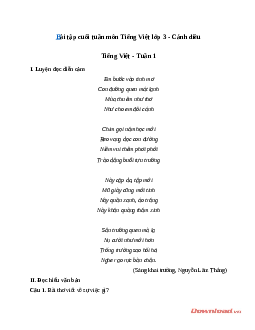 Bài tập cuối tuần lớp 3 môn Tiếng Việt Cánh diều Học kì 1