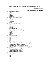 Trắc nghiệm ôn tập chương 5: Giải phẫu - sinh lý Hệ tiêu hóa | Đại học Nguyễn Tất Thành