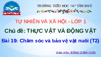 Giáo án điện tử Tự nhiên và xã hội 1 bài 19 Chân trời sáng tạo : Cây xung quanh em