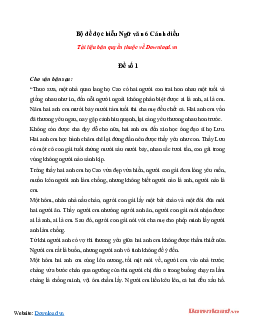 Bộ đề đọc hiểu Ngữ văn 6 Cánh diều