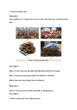 Giải Công nghệ 11 Bài 1: Vai trò và triển vọng của chăn nuôi | Kết nối tri thức