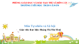 Giáo án điện tử Tự nhiên và Xã hội 2 Bài 12 Kết nối tri thức: Thực hành mua bán hàng hoá